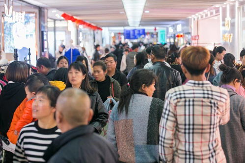 新螺螄灣未來(lái)可期 商品批發(fā)貿(mào)易的發(fā)展機(jī)遇與前景
